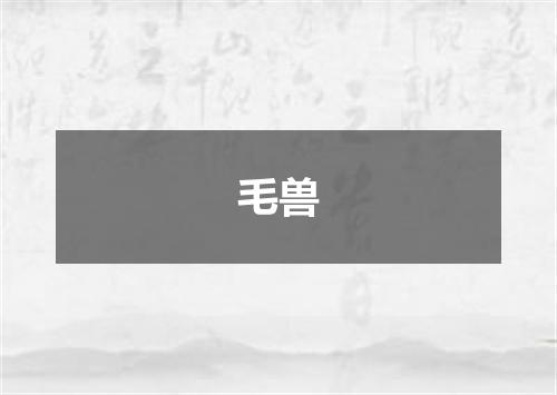 毛兽