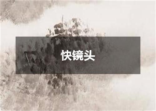 快镜头