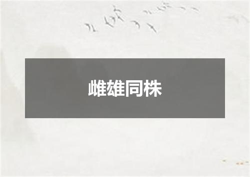 雌雄同株