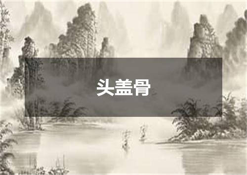 头盖骨
