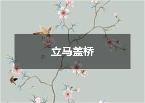 立马盖桥