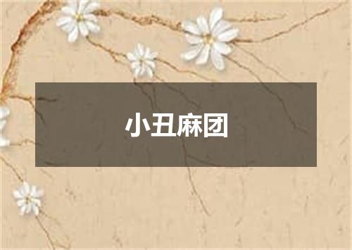 小丑麻团