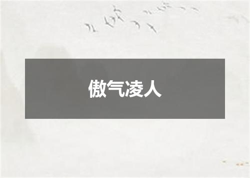 傲气凌人