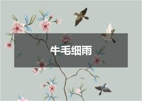 牛毛细雨