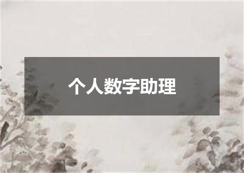 个人数字助理