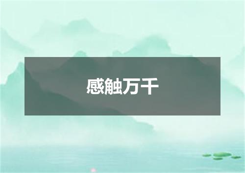 感触万千