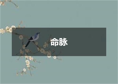命脉