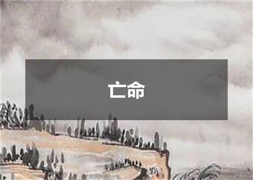 亡命