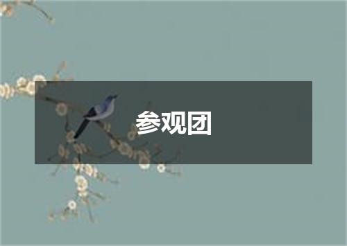 参观团