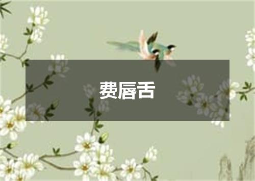 费唇舌