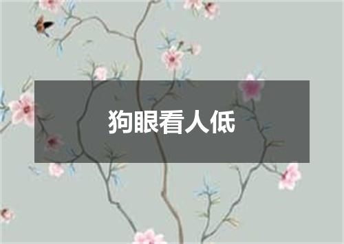 狗眼看人低