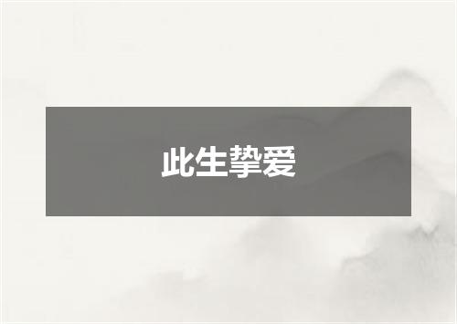 此生挚爱