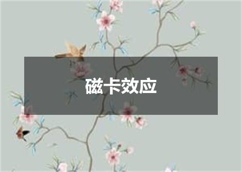 磁卡效应