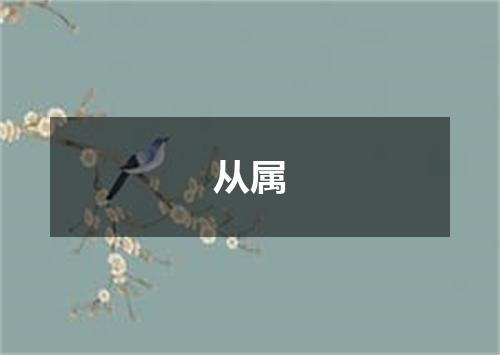 从属