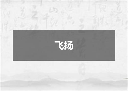 飞扬