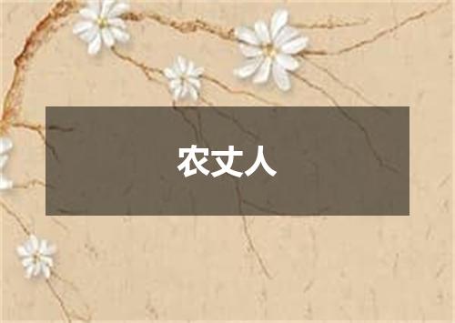 农丈人
