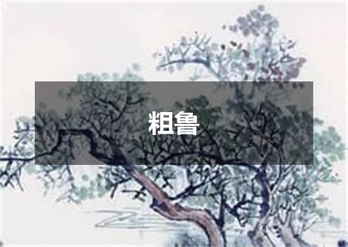 粗鲁