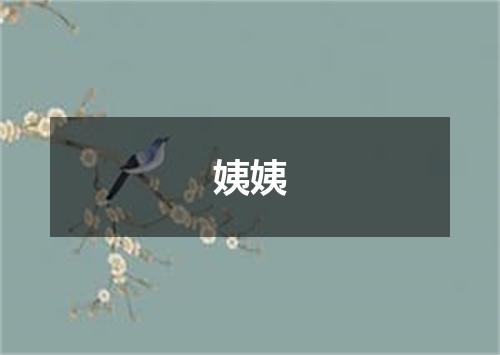 姨姨