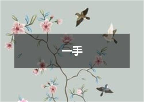一手