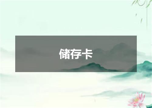储存卡