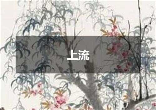 上流