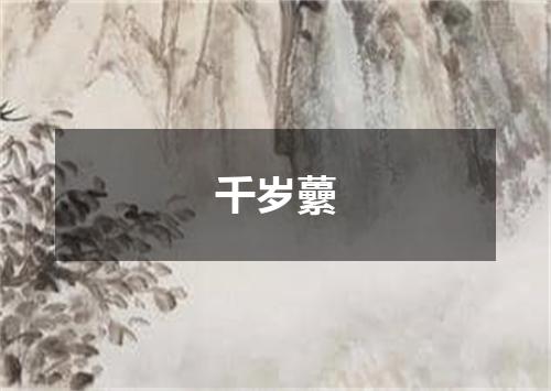 千岁虆