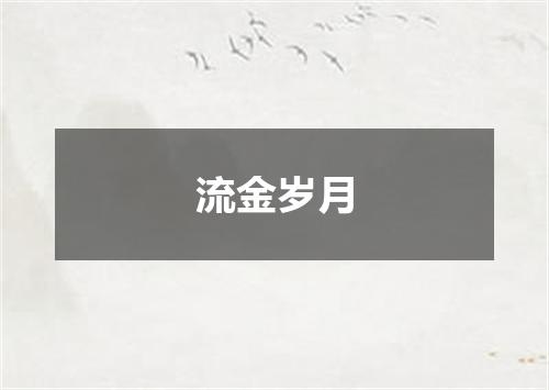 流金岁月