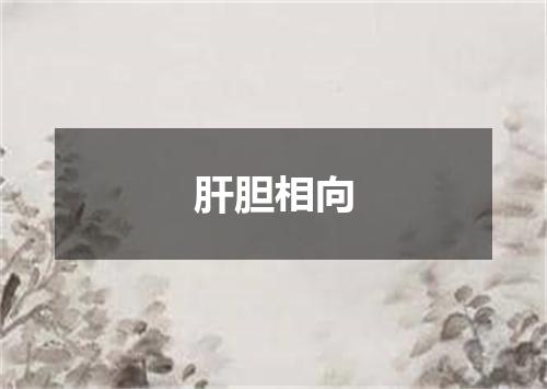肝胆相向