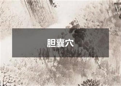 胆囊穴