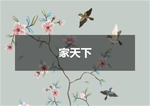 家天下