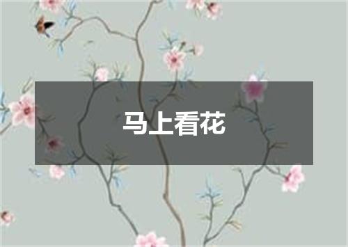 马上看花