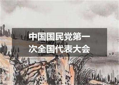 中国国民党第一次全国代表大会