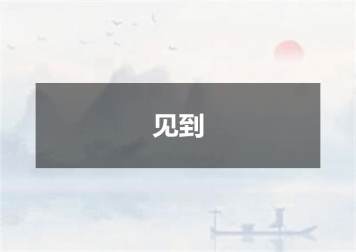 见到