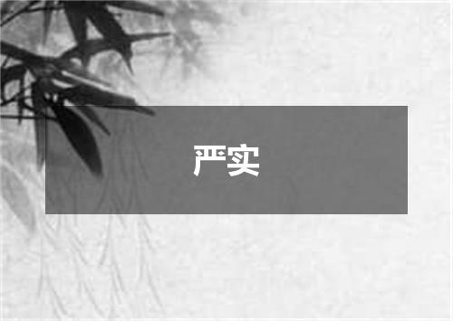 严实