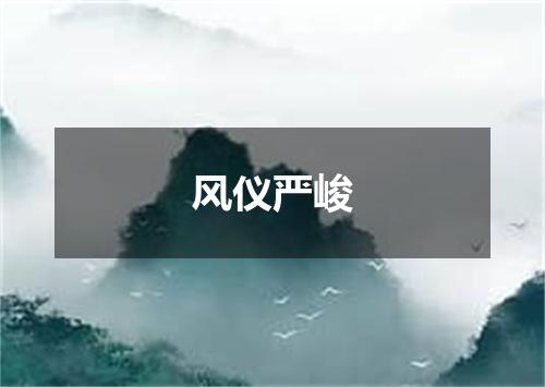 风仪严峻