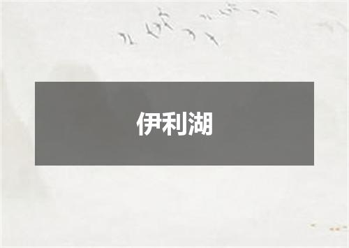 伊利湖
