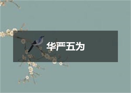 华严五为