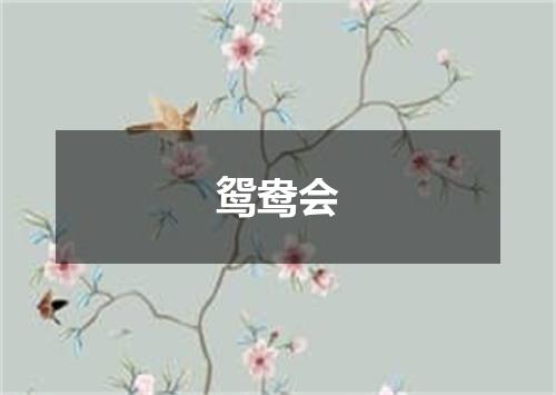 鸳鸯会