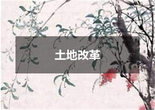 土地改革