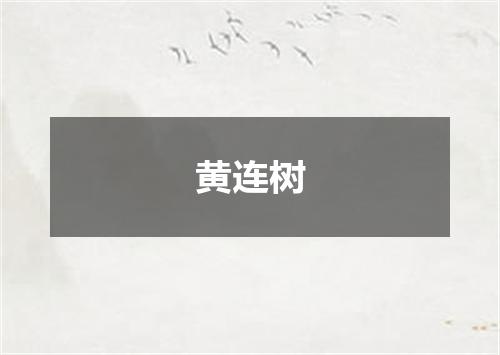 黄连树
