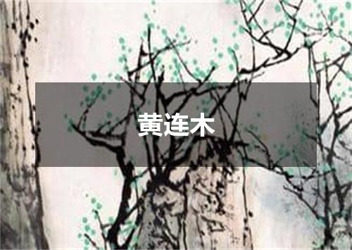 黄连木