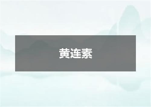 黄连素