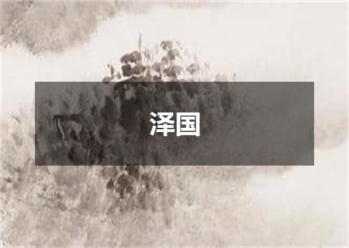 泽国