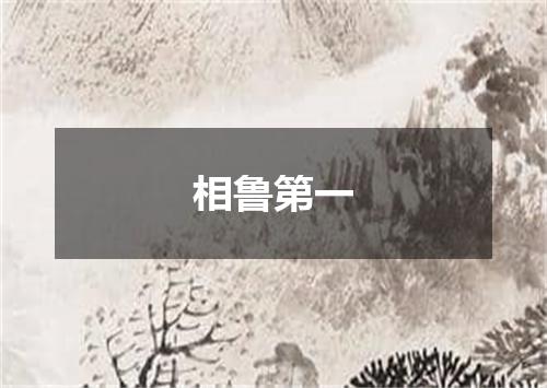 相鲁第一