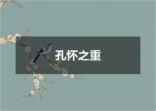 孔怀之重