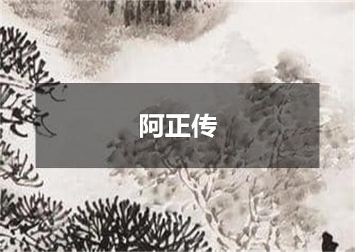 阿正传