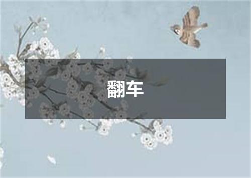 翻车