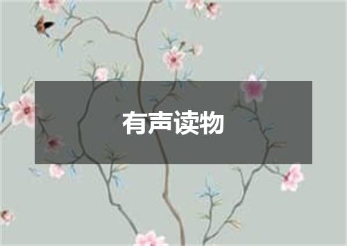 有声读物