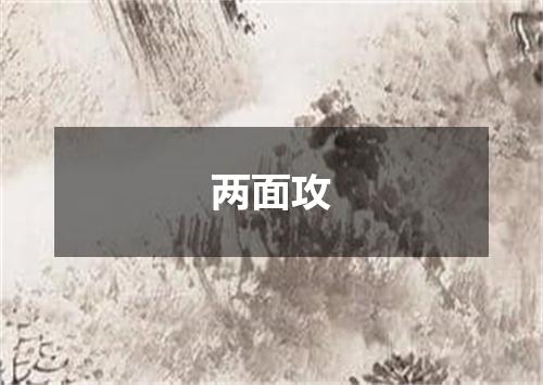 两面攻