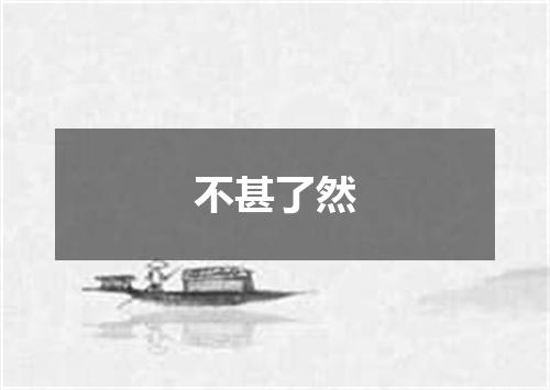 不甚了然